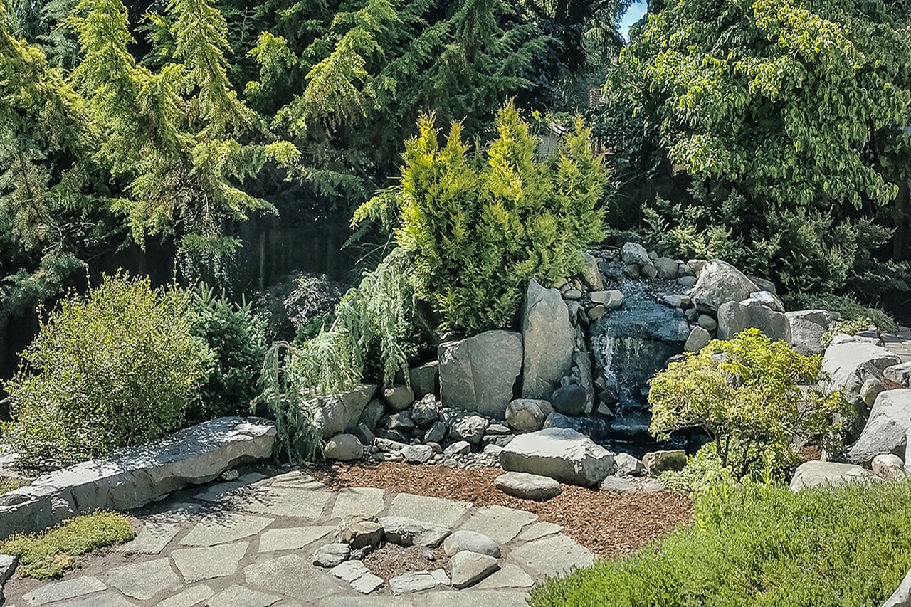 DCIM100MEDIADJI_0006.JPG