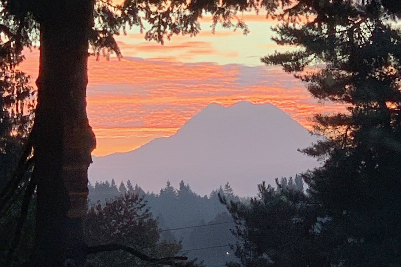 Mountain